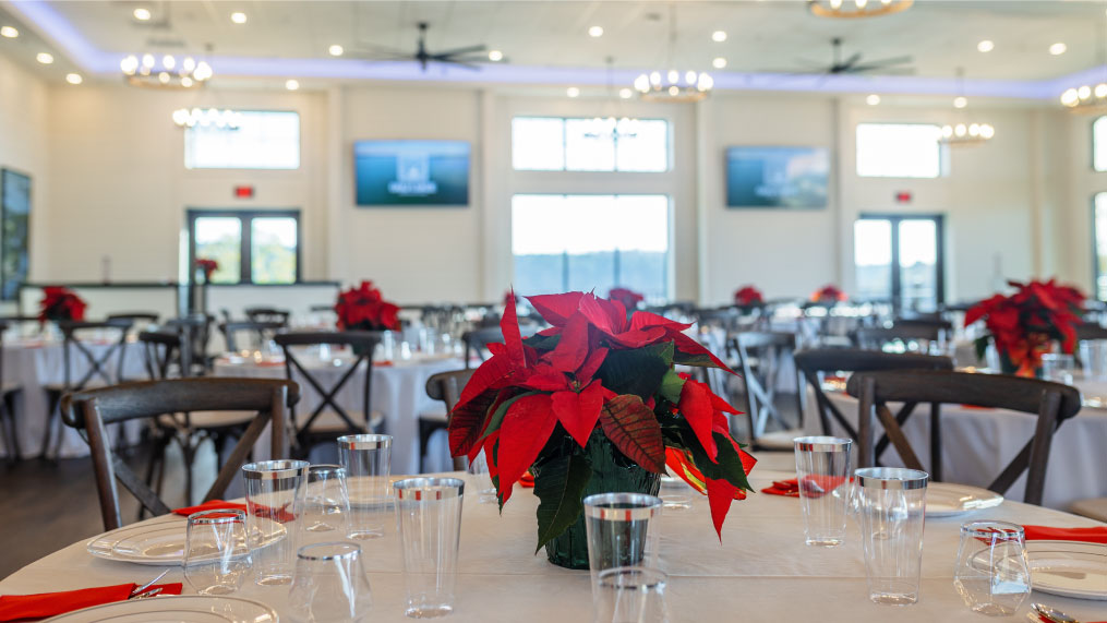 A poinsettia on a table at Oakfuskee Conservation Center.