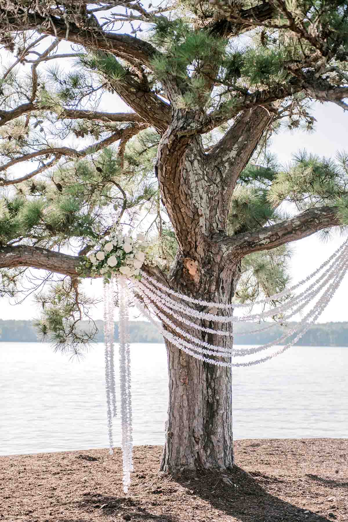 oakfuskee-conservation-center-wedding-venue-special-tree-lagrange